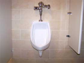 Automatic flush urinals